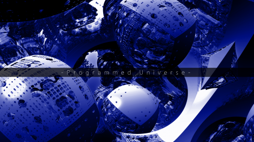 (31254155)Programmed Universe