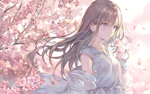 (73718366)桜