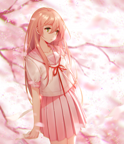 (62593933)SAKURA