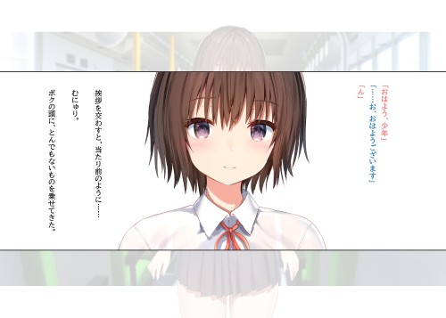 (83137358)CG集『毎朝、ボクの頭を休憩所にしてくるお姉さん』(R18) p9